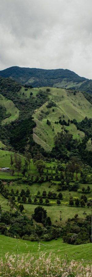 Image voyage en Colombie